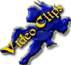 Clips of Fights and techniques